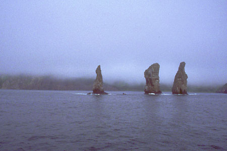 The Three Brothers